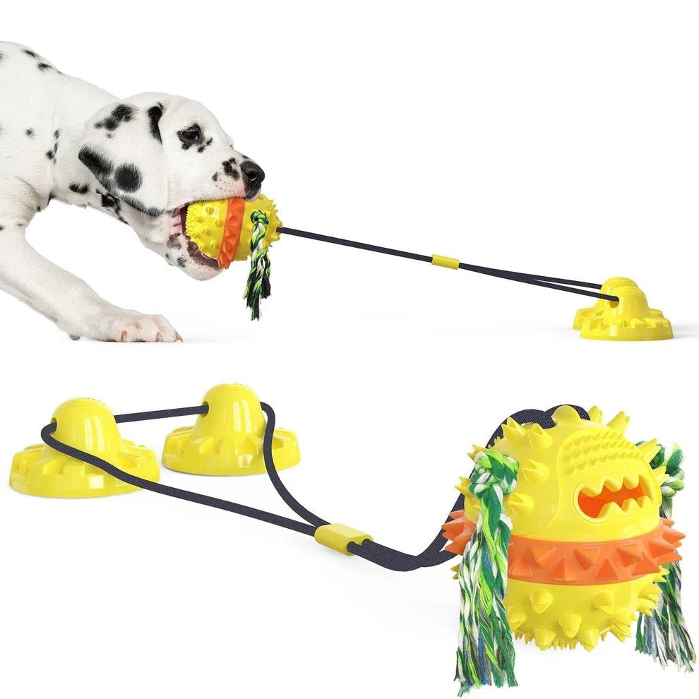 Self-Moving Dog Toy Ball, Chew Bars, Indoor/Outdoor Chase Play
