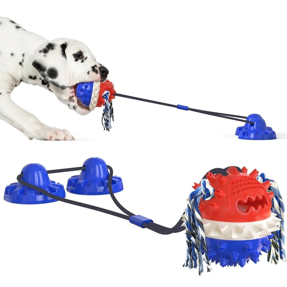 Self-Moving Dog Toy Ball, Chew Bars, Indoor/Outdoor Chase Play