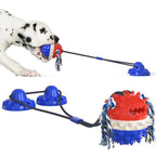Self-Moving Dog Toy Ball, Chew Bars, Indoor/Outdoor Chase Play