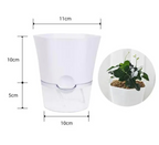 Self-Watering Plant Pot with Water Reservoir for Houseplants