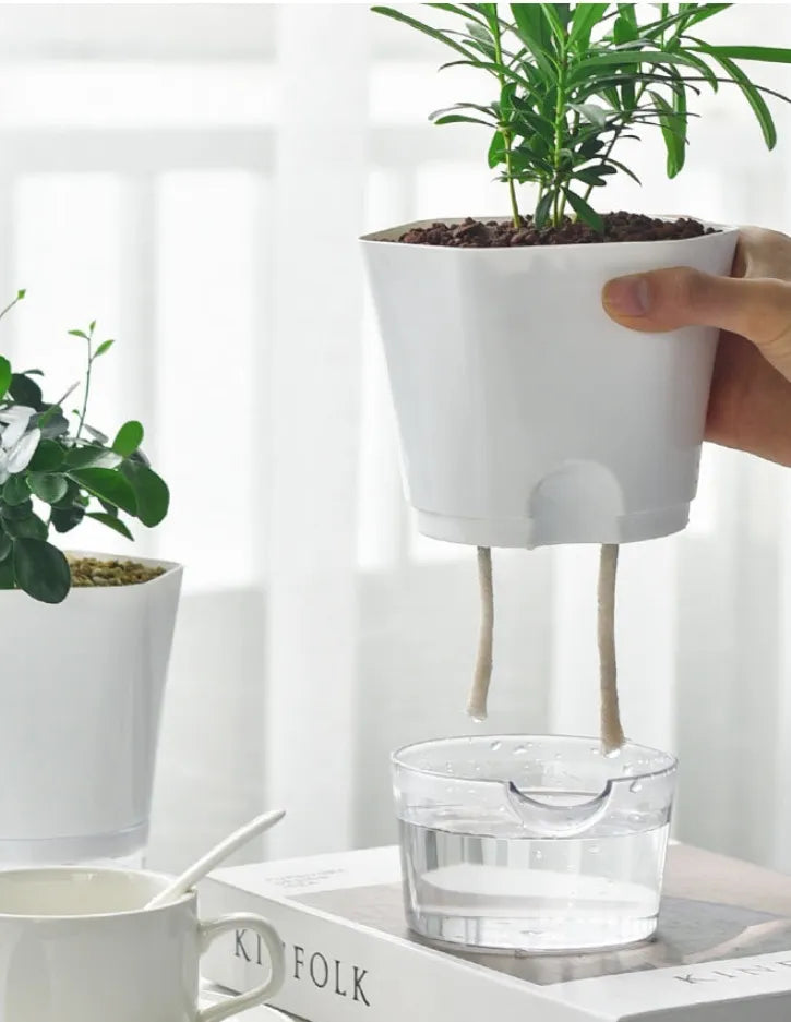 Self-Watering Plant Pot with Water Reservoir for Houseplants