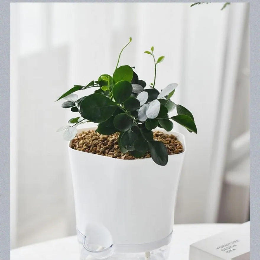 Self-Watering Plant Pot with Water Reservoir for Houseplants