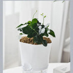 Self-Watering Plant Pot with Water Reservoir for Houseplants