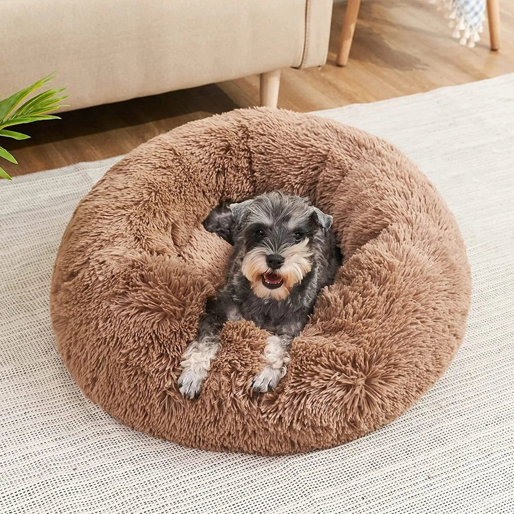 SlumberPaws Bed – Calming Dog Bed for Deep, Restful Sleep