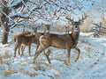 Snowfall on Reindeer – GemPaint Kit
