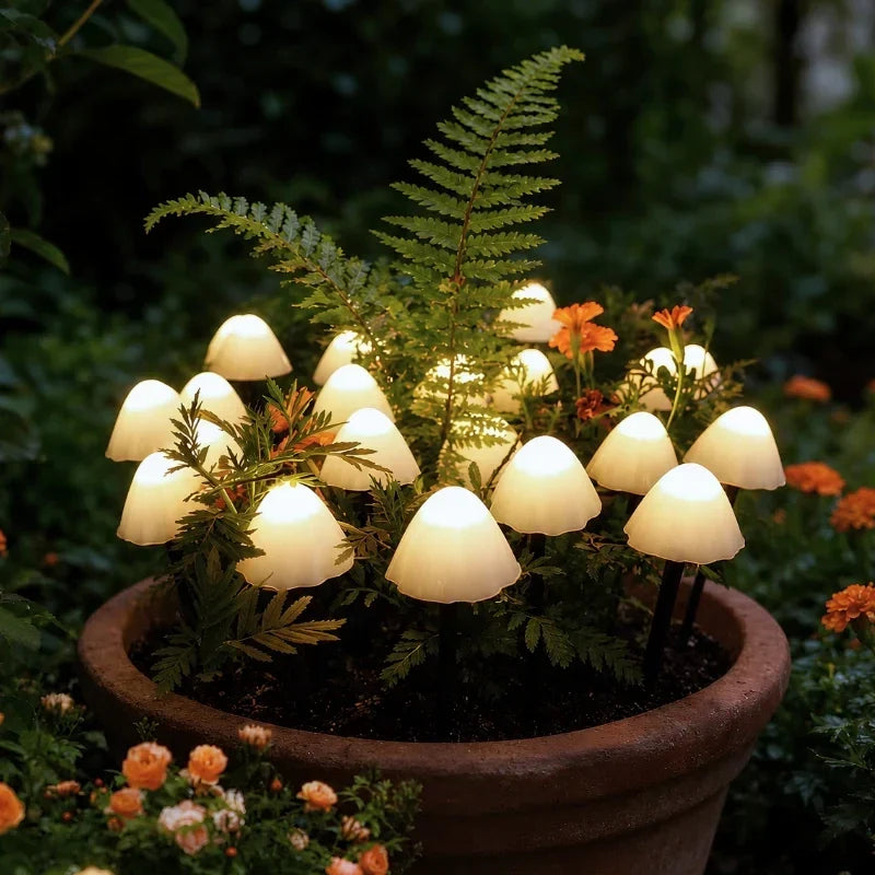 Solar Mushroom Garden Lights | Up to 20 LED Bulbs, 12.5 m String | IP65 Weatherproof, Dusk Sensor, 8 Light Modes