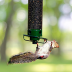 Squirrel-Proof Hanging Bird Feeder for Outdoor Use