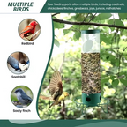 Squirrel-Proof Hanging Bird Feeder for Outdoor Use