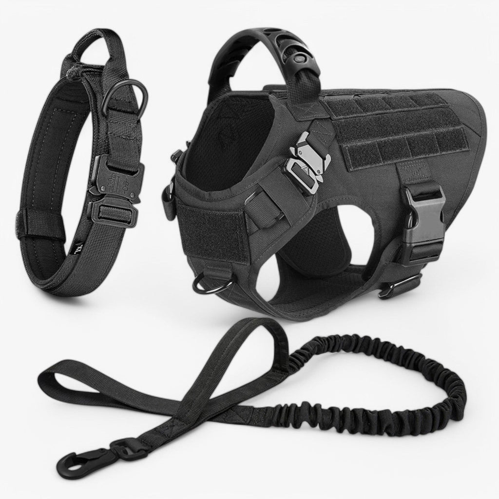 Tactical dog harness in nylon with handle, quick-release buckles and MOLLE webbing, padded and escape-proof, also in set