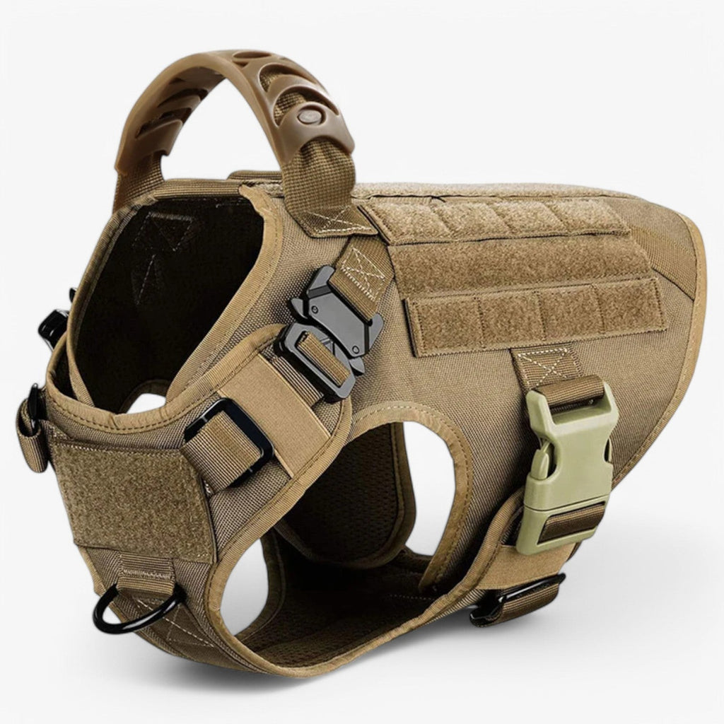 Tactical dog harness in nylon with handle, quick-release buckles and MOLLE webbing, padded and escape-proof, also in set