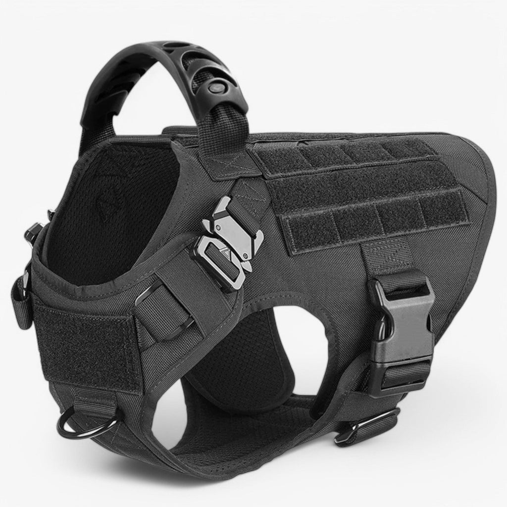 Tactical dog harness in nylon with handle, quick-release buckles and MOLLE webbing, padded and escape-proof, also in set
