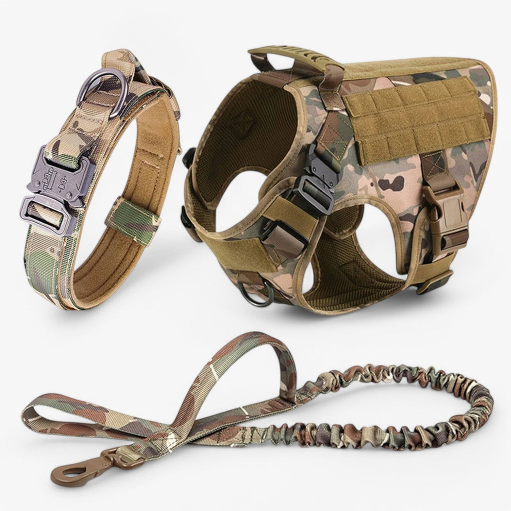 Tactical dog harness in nylon with handle, quick-release buckles and MOLLE webbing, padded and escape-proof, also in set