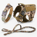Tactical dog harness in nylon with handle, quick-release buckles and MOLLE webbing, padded and escape-proof, also in set