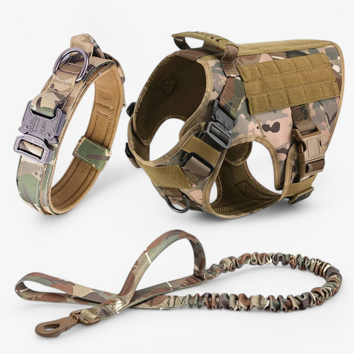 Tactical dog harness in nylon with handle, quick-release buckles and MOLLE webbing, padded and escape-proof, also in set