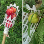 Telescopic fruit picker with basket