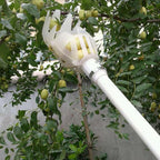 Telescopic fruit picker with basket