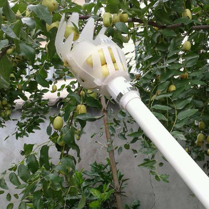 Telescopic fruit picker with basket