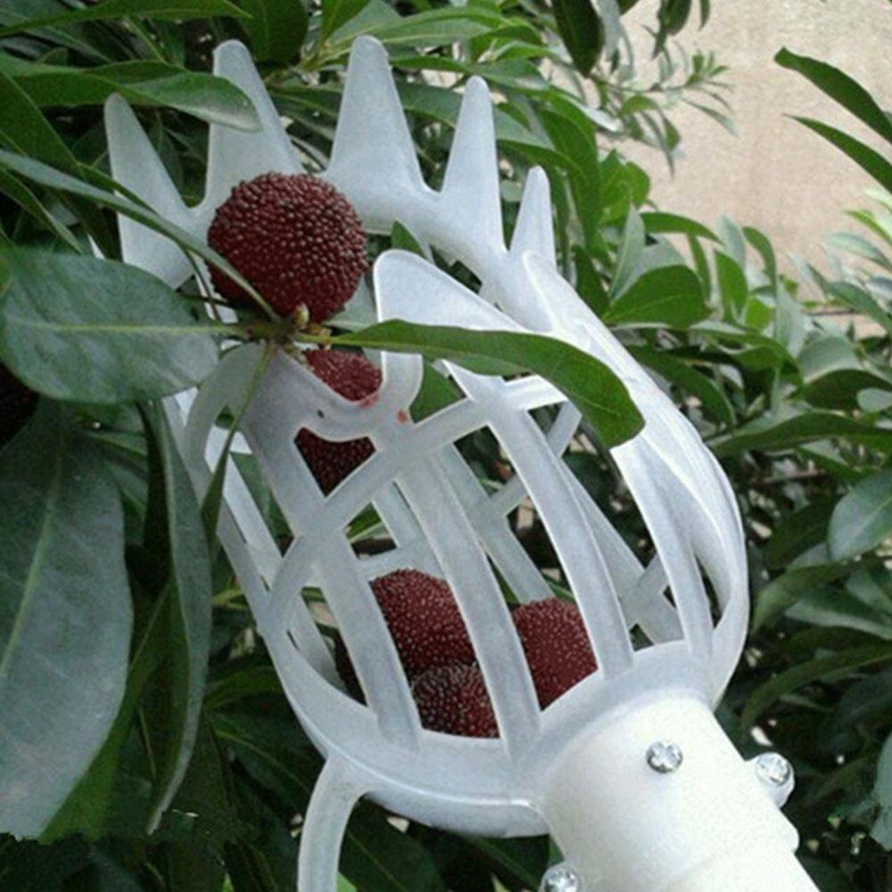Telescopic fruit picker with basket