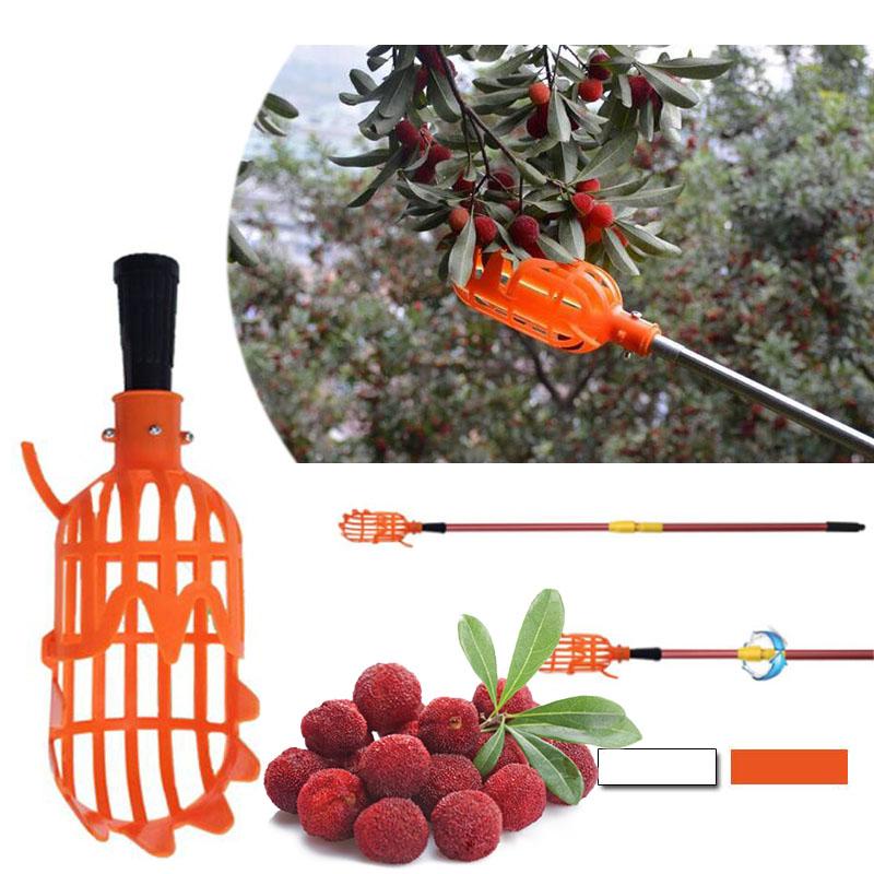 Telescopic fruit picker with basket