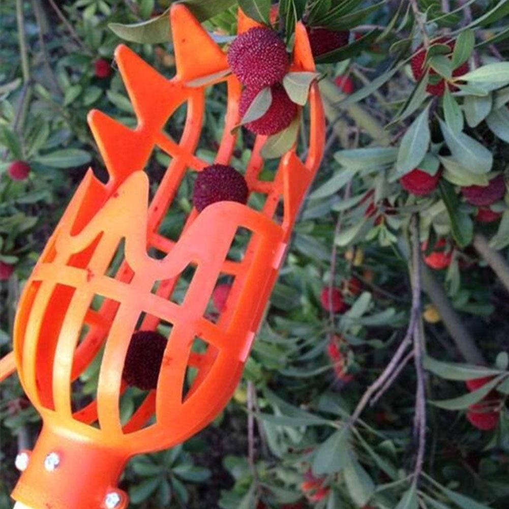 Telescopic fruit picker with basket
