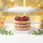 Transparent Cake Boxes in Various Sizes