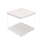 Transparent Cake Boxes in Various Sizes