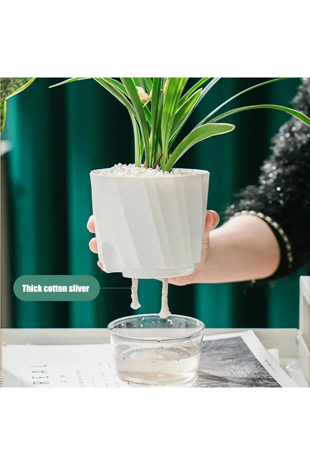 Transparent Office Plant Pot