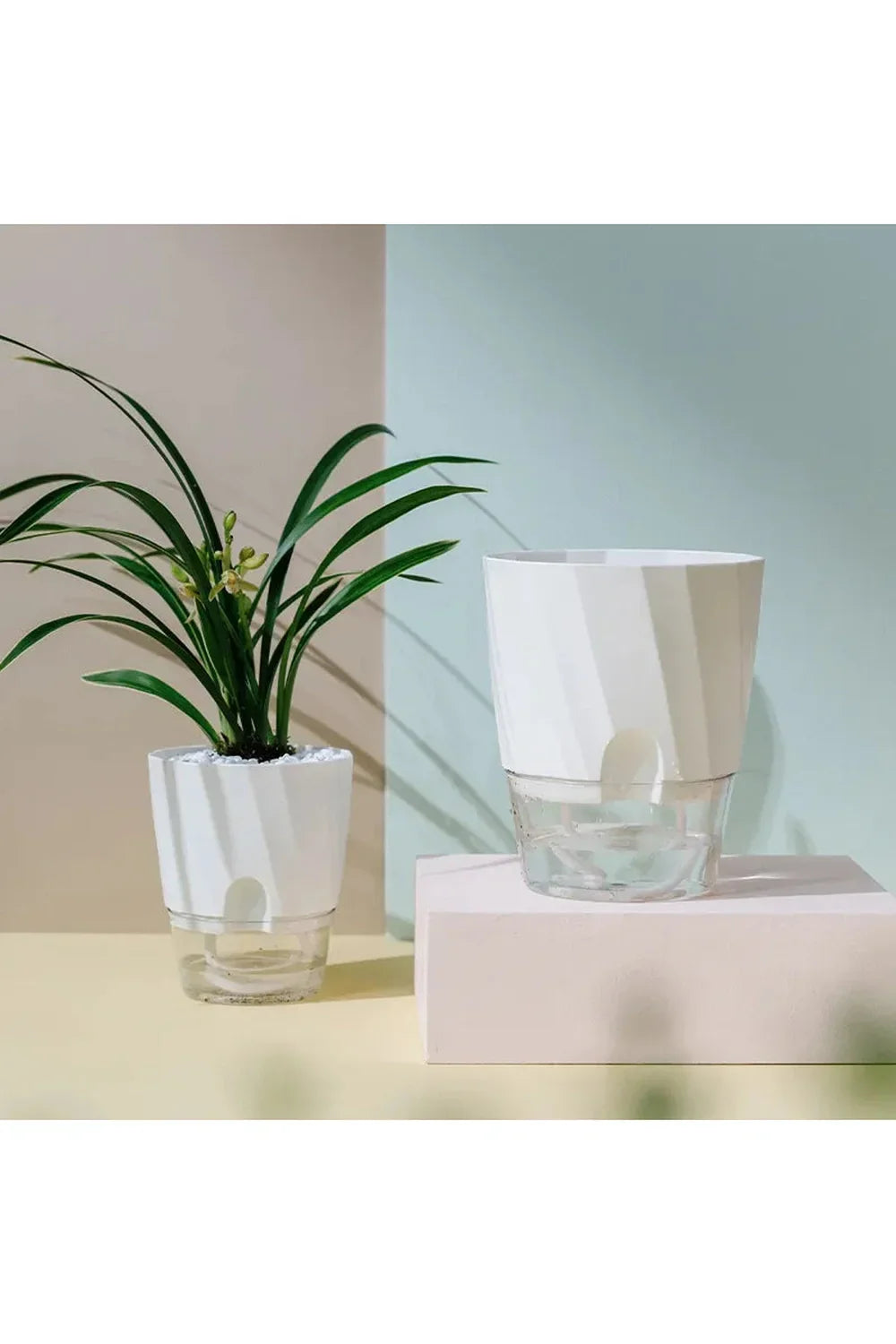 Transparent Office Plant Pot