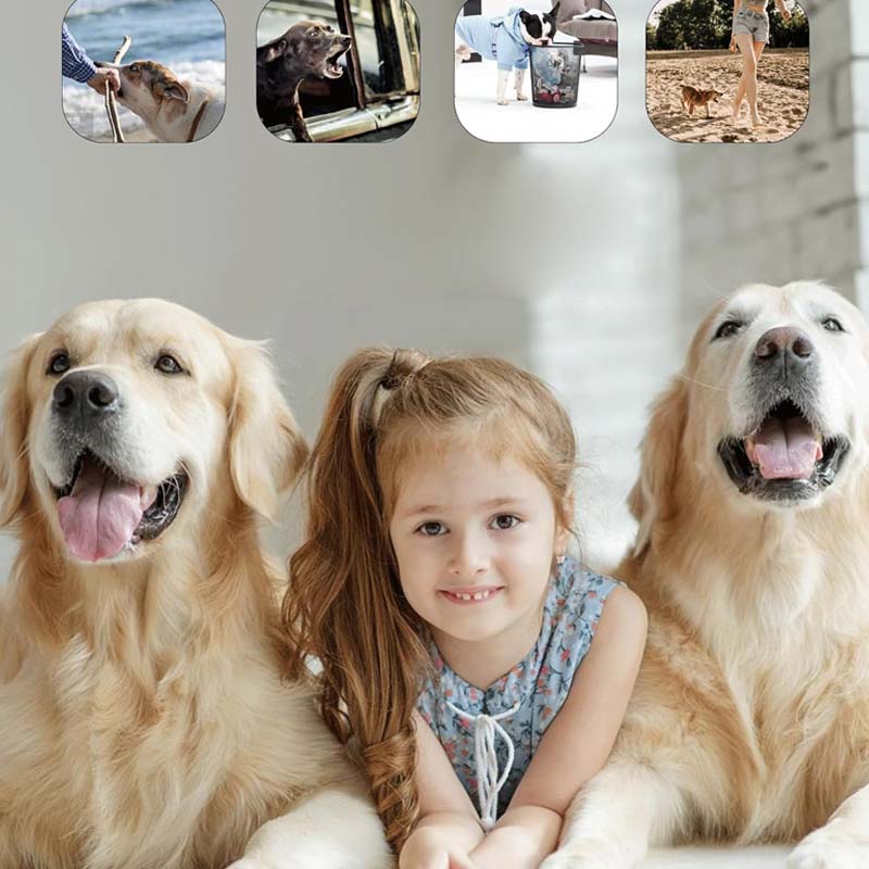 Ultrasonic Dog Training Device