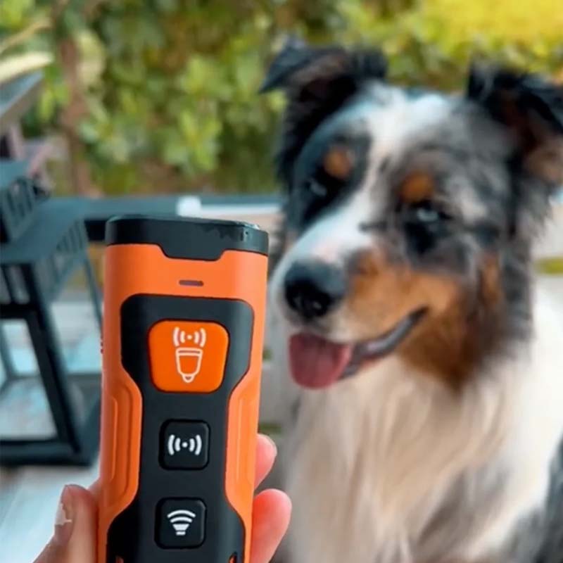 Ultrasonic Dog Training Device