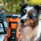 Ultrasonic Dog Training Device