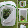 Viventra Folding Insect Habitat – Breeding & Observation Net with Stainless Steel Frame for Butterflies, Crickets & Silk