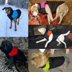 Warm and Water-Repellent Dog Coat