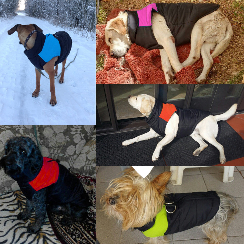 Warm and Water-Repellent Dog Coat