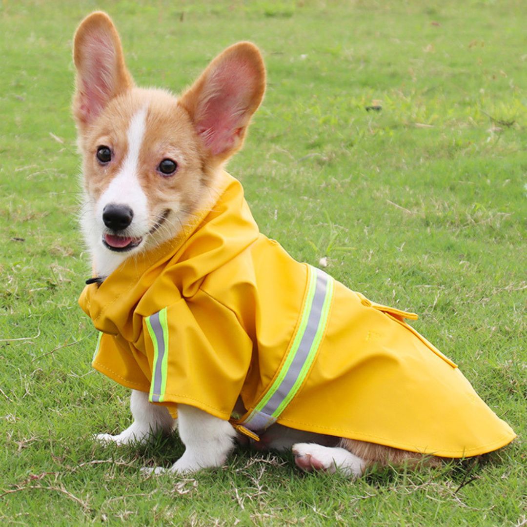 Waterproof Dog Coat – StormPaw