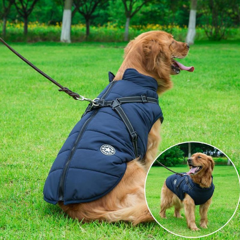 Winter Coat with Zip for Dogs