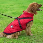 Winter Coat with Zip for Dogs