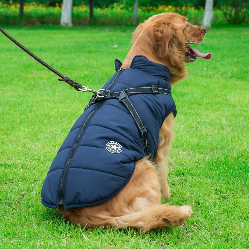 Winter Coat with Zip for Dogs