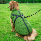 Winter Coat with Zip for Dogs