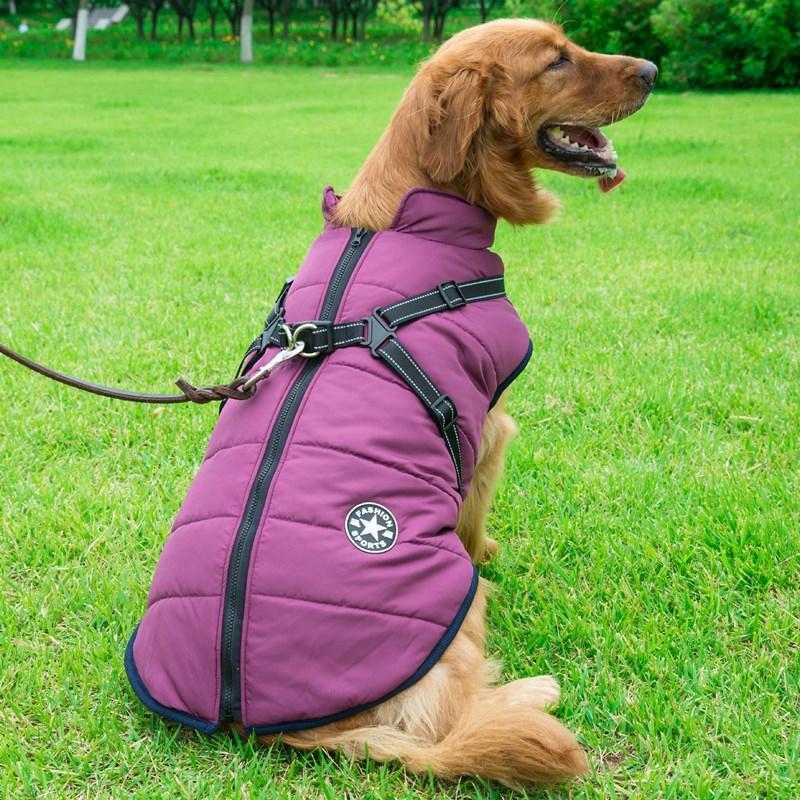 Winter Coat with Zip for Dogs