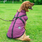 Winter Coat with Zip for Dogs