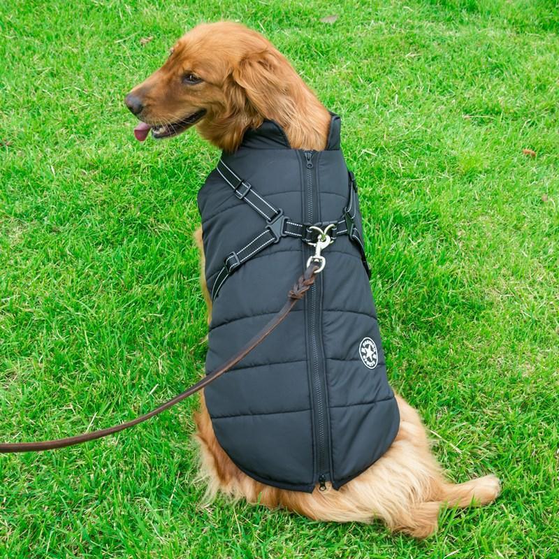 Winter Coat with Zip for Dogs