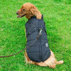 Winter Coat with Zip for Dogs
