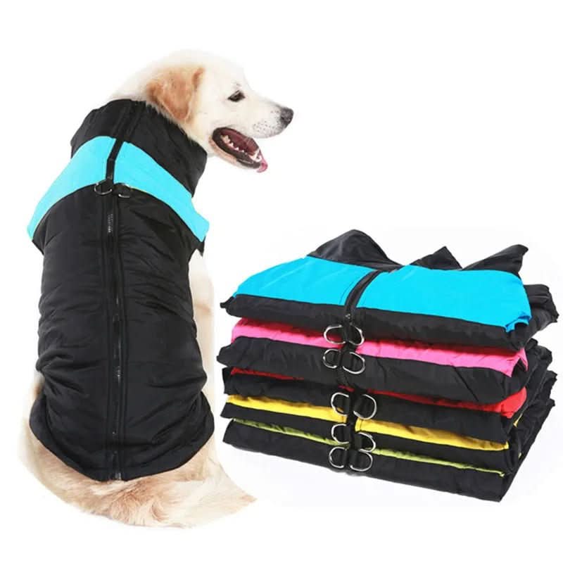 Winter jacket for dogs with protection and comfort