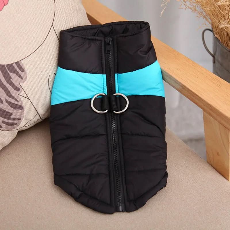 Winter jacket for dogs with protection and comfort