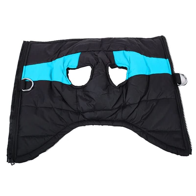 Winter jacket for dogs with protection and comfort