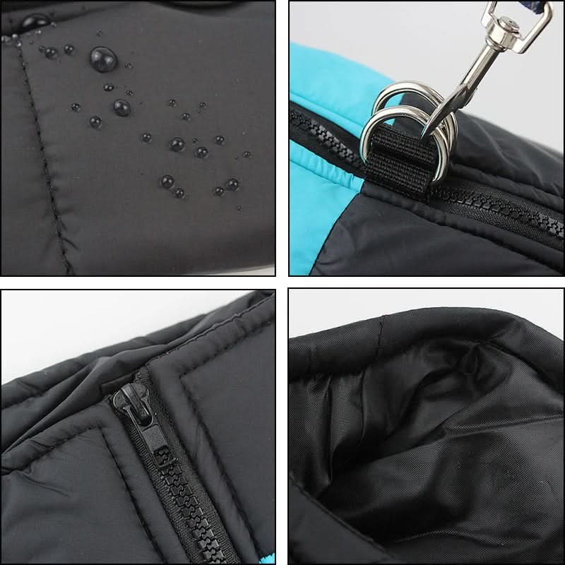 Winter jacket for dogs with protection and comfort