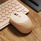 Wireless Comfort Mouse