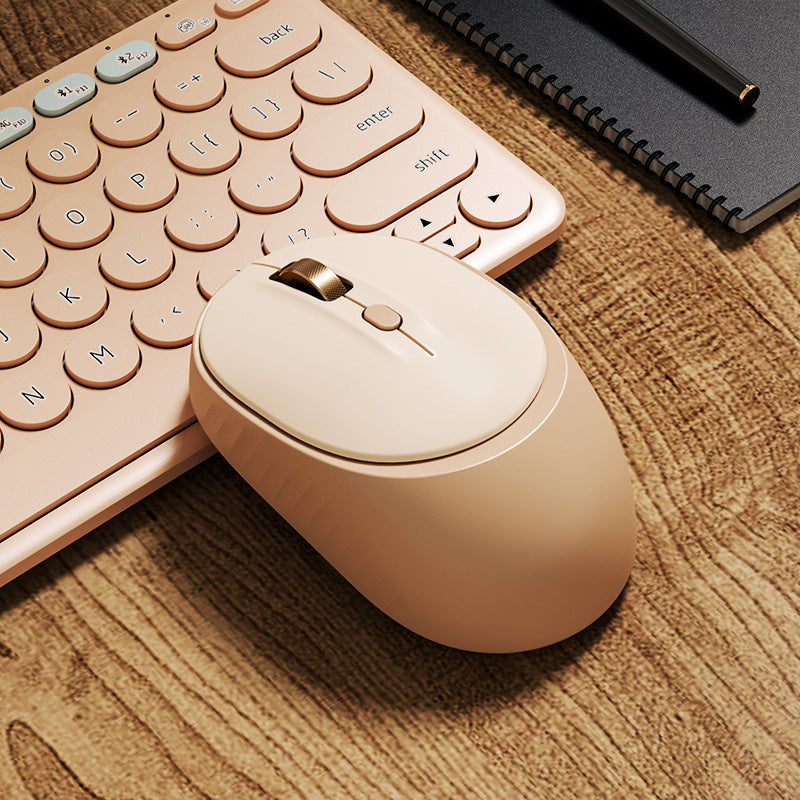 Wireless Comfort Mouse