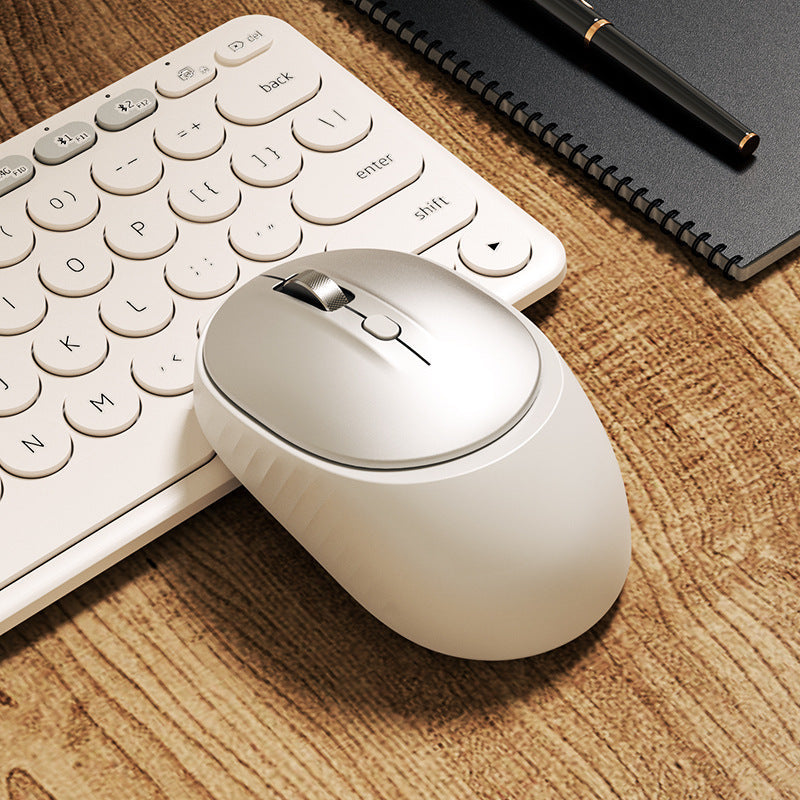 Wireless Comfort Mouse